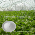 Nature Stevia Extract, Sweetener Food Additive Stevia Leaf Extract Stevioside